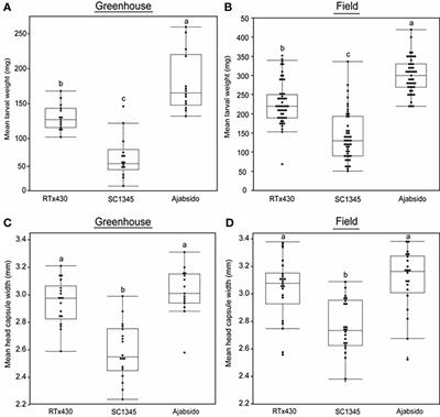 Dynamic regulation of phenylpropanoid pathway metabolites in modulating sorghum defense against fall armyworm